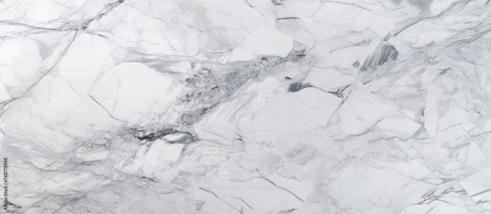 Poster detailed close-up view of a floor made of marble with a striking pattern of black and white colors
