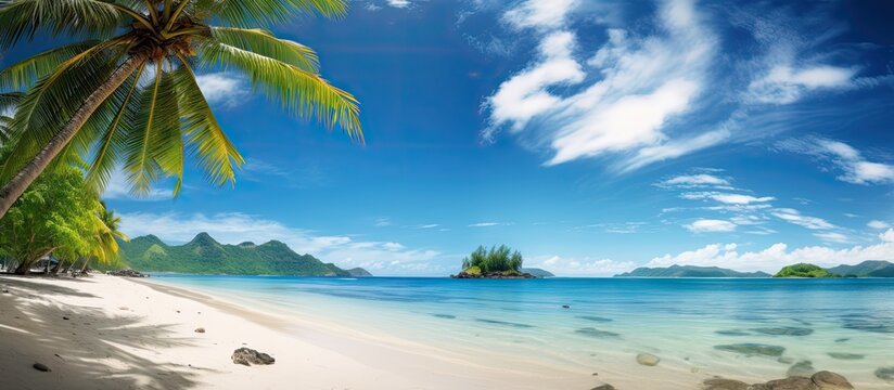 The serene tropical beach is adorned with lush palm trees and features tranquil, clear waters on a sunny day
