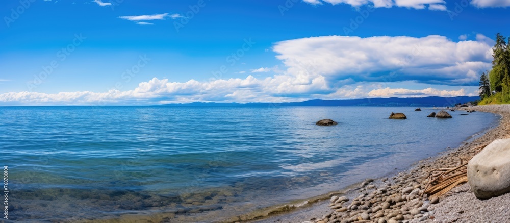 Poster a scenic view of a beach with rocky shores, a few trees, and calm waters under a cloudy sky with a d