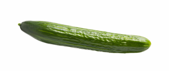 One long fresh cucumber isolated on white