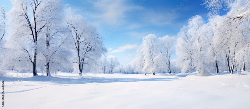 Aufkleber a serene winter scene featuring trees covered in snow and a ground blanketed in white snow, creating