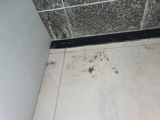 concrete wall