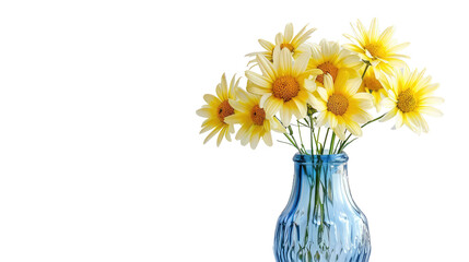 Pale Yellow Daisies in a Vase with Transparent Background PNG