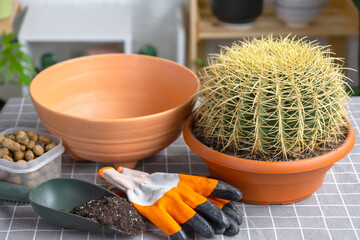 Repotting overgrown home plant large spiny cactus Echinocactus Gruzoni into new bigger pot. Caring for potted plant, protective gloves, drainage, pot, soil, a shovel on the table
