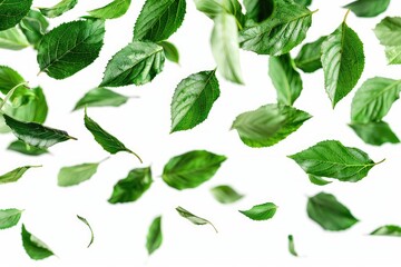 Garlic isolated with leaves against a white backdrop. Generative Ai