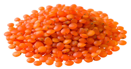 A small heap of raw red lentils isolated on the white background. - 768792539