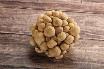 Raw asiam delicacy mushroom Shimeji