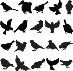 Vector pack of birds in black, set against a white background