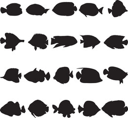 Vector illustration of a variety of silhouetted fish against a white background