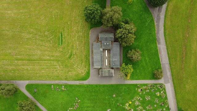 Seagulls Flying over a Park 4K