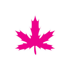 red maple leaf