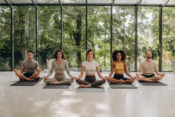 Group of people sitting in lotus pose on yoga mats in studio - 768799141
