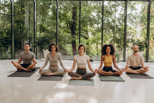 Group of people sitting in lotus pose on yoga mats in studio