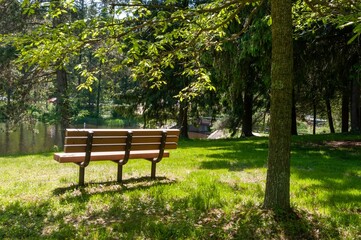 Tranquil outdoor scene featuring a wooden bench set against a lush grassy background