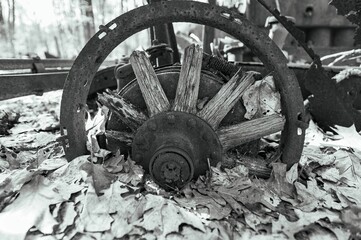 Black and white vintage wooden wheel in the autumn foliage area