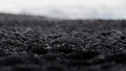 close up of black round stones