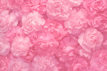 Fototapeta premium 一面に敷き詰められたピンクの花の背景