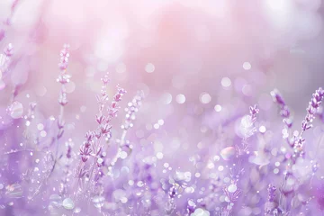 Wandaufkleber Delicate lavender flowers adorned with glittering water droplets © Polina