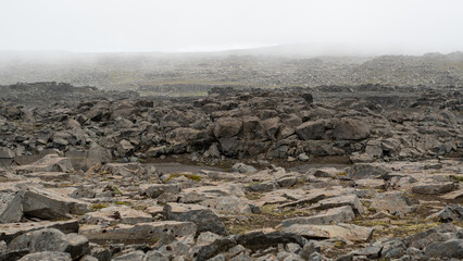 cold lava field