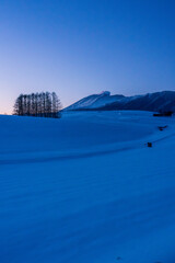 嬬恋高原カラマツの丘から雪原の夜明けのマジックアワー