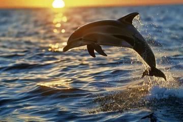 Zelfklevend Fotobehang dolphin arching over ocean surface at sunset © studioworkstock