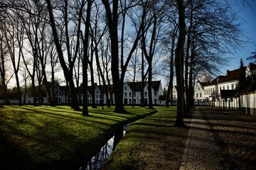Obraz premium Tranquil scene of tall trees and city buildings. Beguinage 