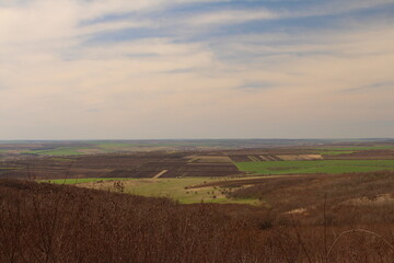Obraz premium A sign in a field