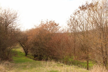 A sign on a building