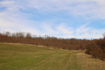 A grassy field with a sign