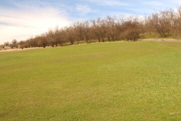 A grassy field with white letters