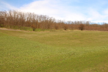 A grassy field with white text