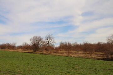 A grassy field with trees and a sign in the background