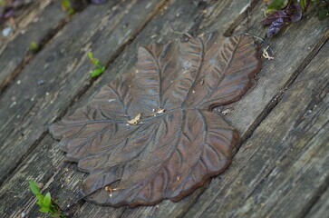 High-resolution closeup shot of a metallic iron leaf on a wooden surface
