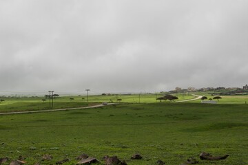 Fototapeta na wymiar Stunning landscape featuring lush green field during cloudy weather