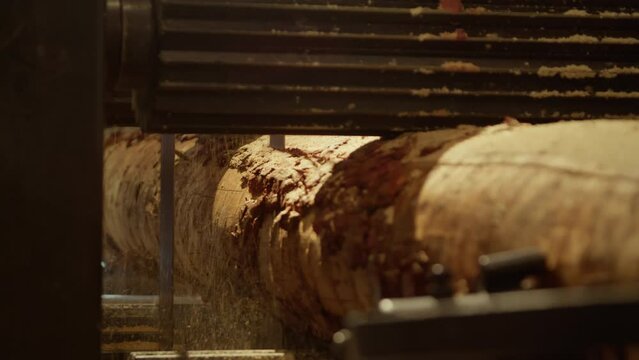 Close-up of the wood milling process with a focus on the machinery and the wooden log being processed, highlighted by sawdust