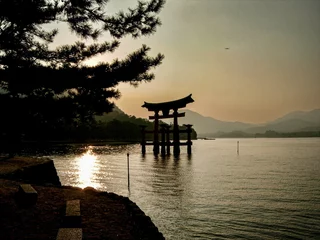 Fotobehang Traditional Japanese torii gate floating in a tranquil body of water in Itsukushima. © Wirestock