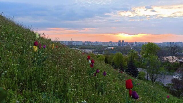 Sunrise view of Kyiv from the right bank of the Dnipro river