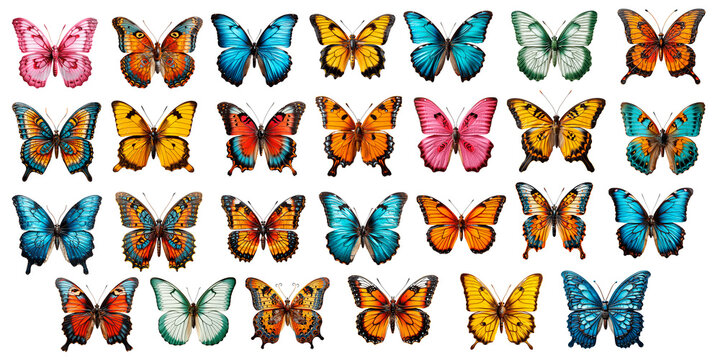 A collection of illustrated colorful butterflies displayed in rows against a gray background