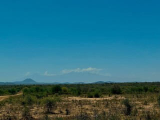 Stunning view of Mount Kilimanjaro from the savannahs of Kenya