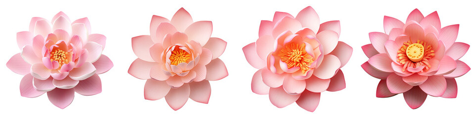 Collection of lotus flowers isolated on transparent or white background