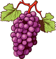 Illustration of Grapes