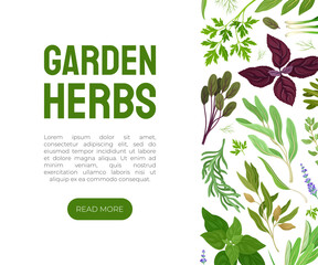 Garden Herb for Culinary Banner Design Vector Template