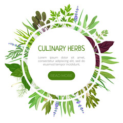 Garden Herb for Culinary Banner Design Vector Template