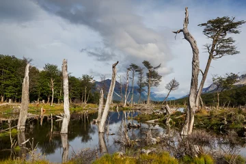 Deurstickers Ushuaia landscapes © Galyna Andrushko