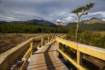Foto op Aluminium Ushuaia landscapes © Galyna Andrushko