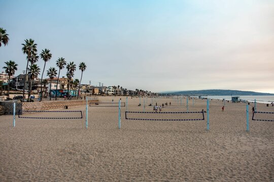 Diverse Group Of People Enjoying The Beach With Palm Trees At Sunset