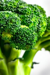 Close-Up of Fresh Broccoli