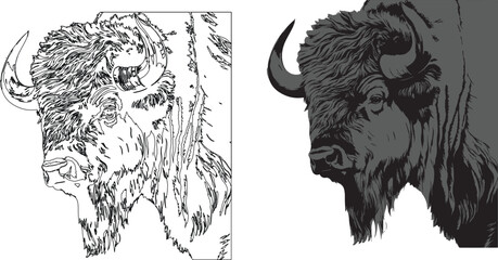 Vector illustration of a bison against a white background © Wirestock