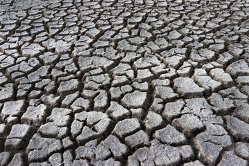 Surface of a dried out soil. Environment