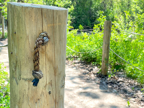 Close-up of an old wooden fence post. Pillar with a nautical rope delimiting a forest path in the wood.